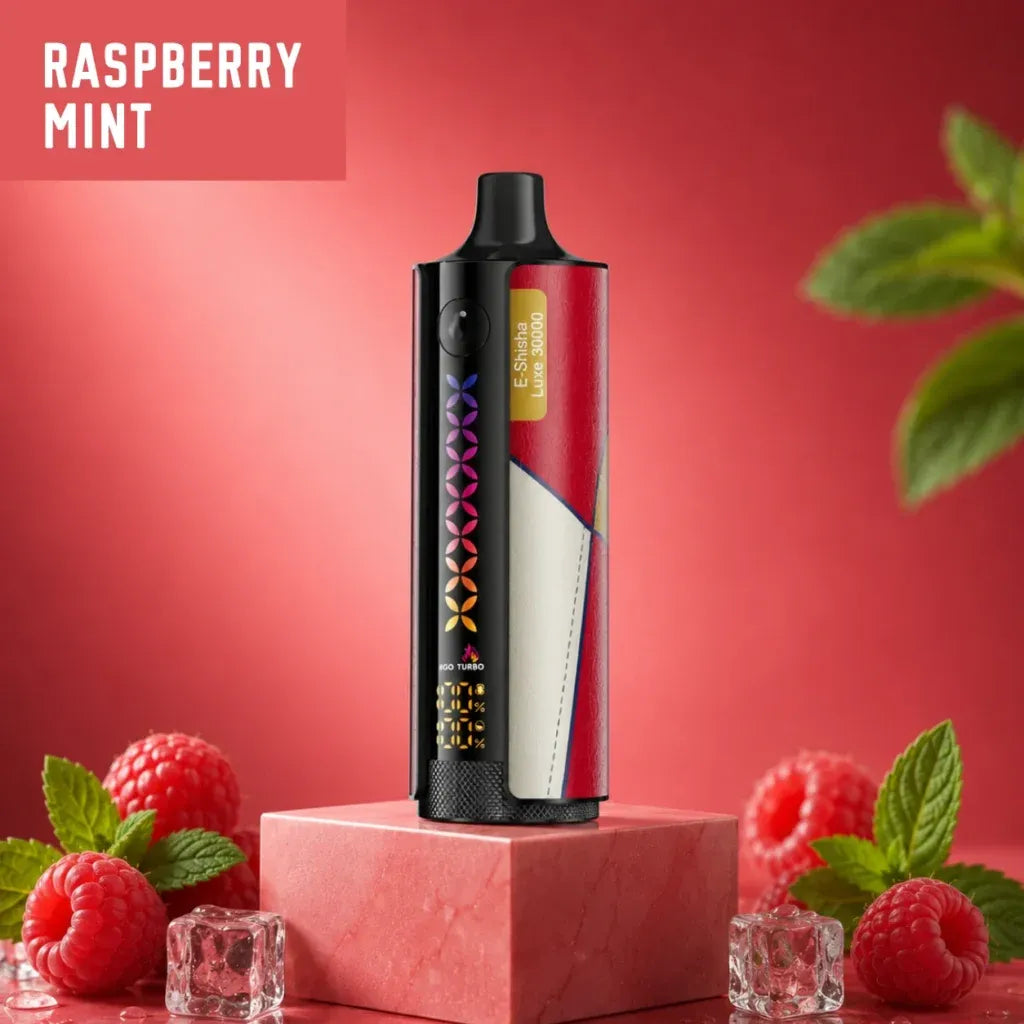 Elfbar E-Shisha Luxe 30000 puff disposable vape - raspberry mint flavour